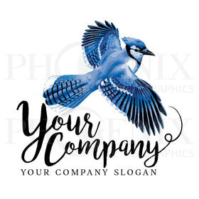 Blue Jay Logo - Birding Logo - Wildlife Logo - Bird Feed Logo - Pre Made Logo